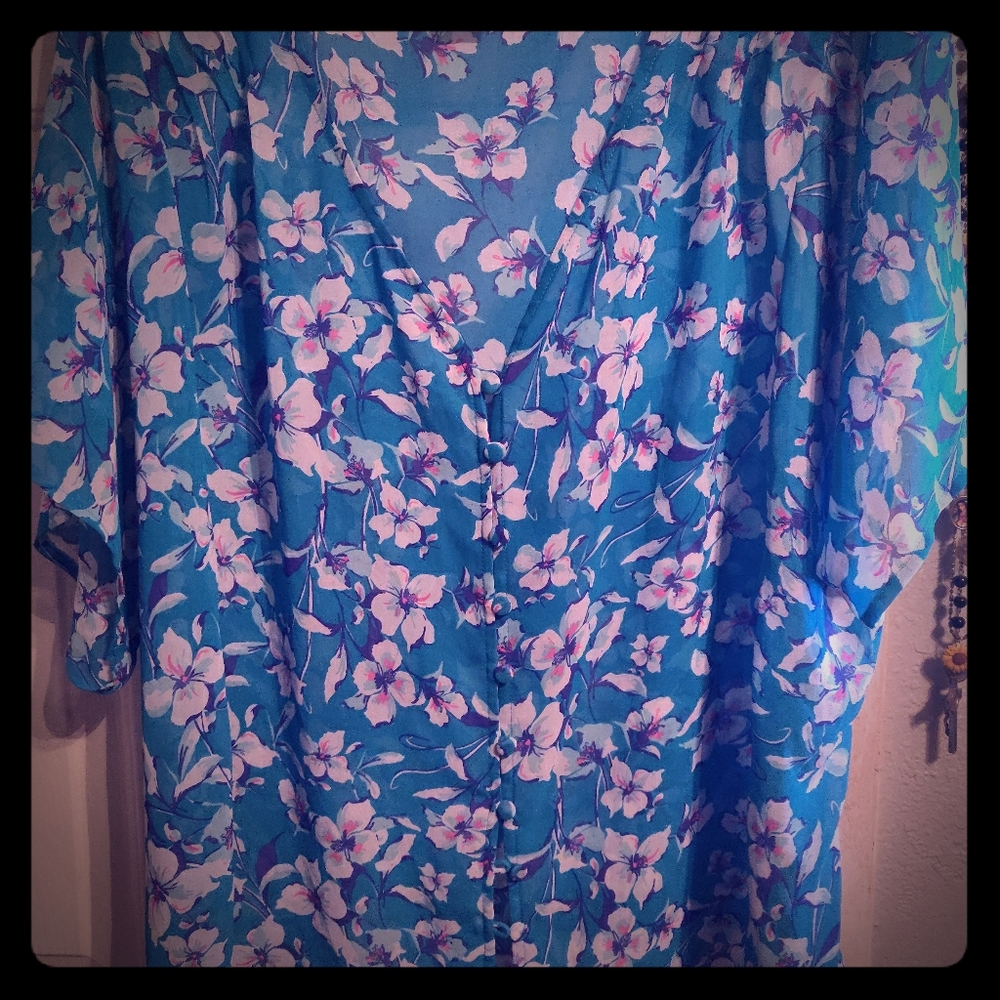 Plus Size sheer top